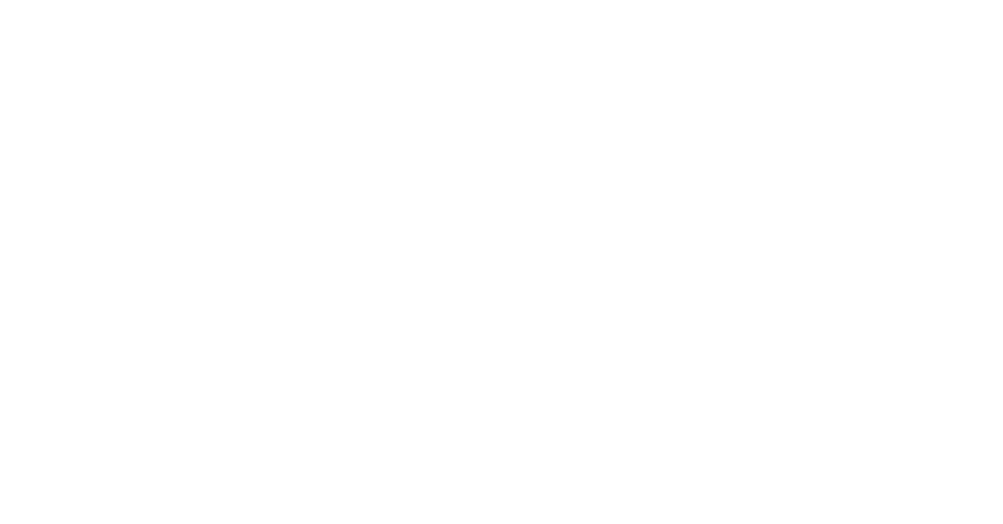 DENET